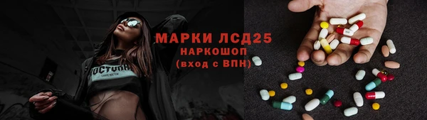 PSILOCYBIN Белокуриха