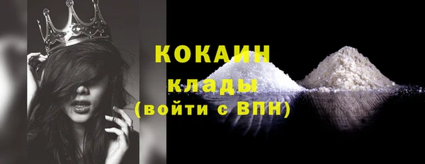 PSILOCYBIN Белокуриха