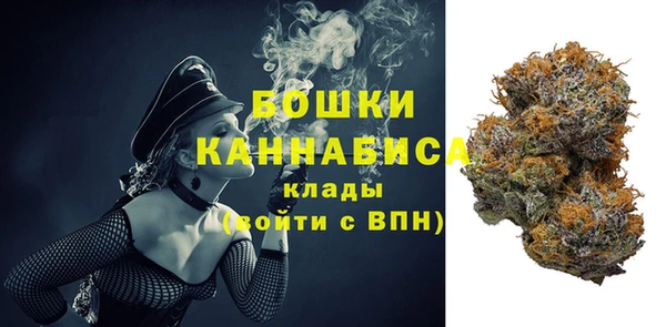 PSILOCYBIN Белокуриха