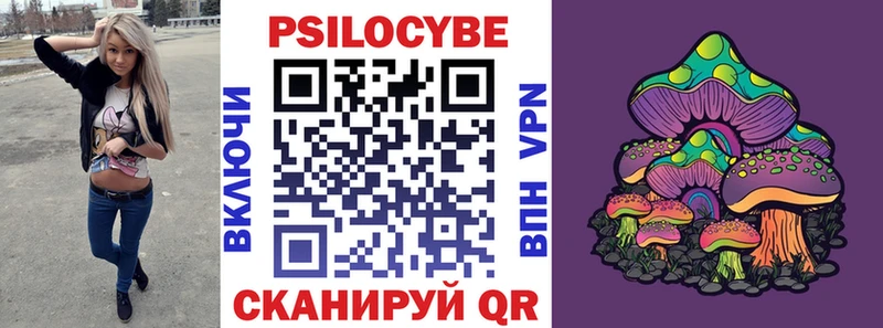 Псилоцибиновые грибы Psilocybine cubensis Кукмор